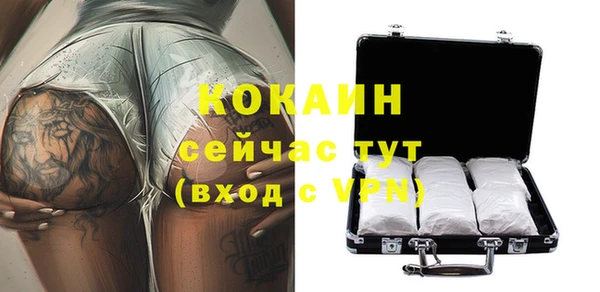 хмурый Алексин