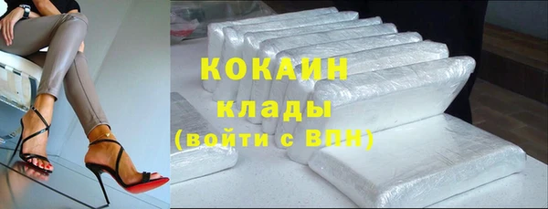 хмурый Алексин