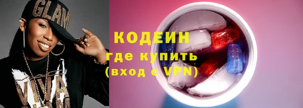хмурый Алексин