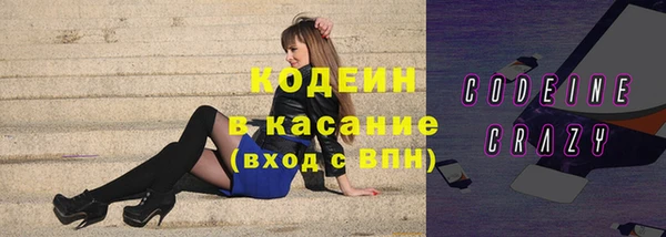 хмурый Алексин