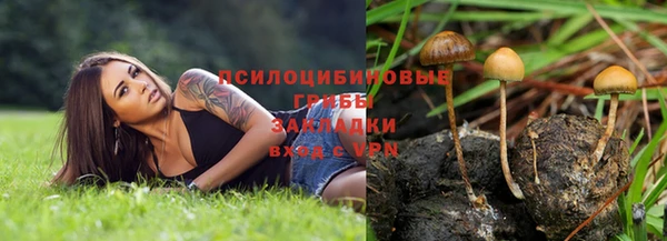 хмурый Алексин