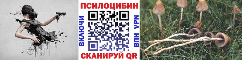 Галлюциногенные грибы MAGIC MUSHROOMS  KRAKEN tor  Салехард  как найти  
